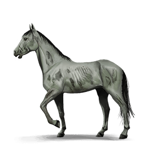 poni fames