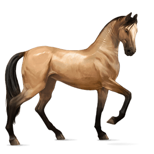 ratsuhevonen palomino