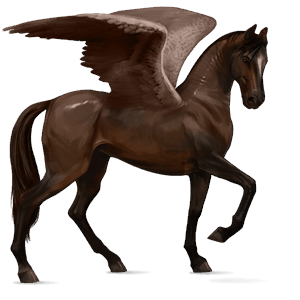 ratsupegasos akhaltekinhevonen liinakko
