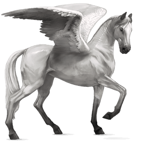 ratsupegasos lipizzanhevonen vaaleankimo