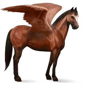 ratsupegasos criollo punaruunikko