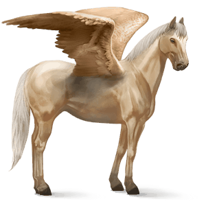 ratsupegasos lipizzanhevonen vaaleankimo