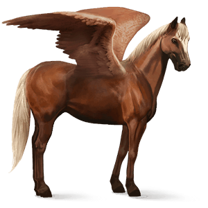 ratsupegasos akhaltekinhevonen palomino