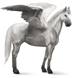 ratsupegasos vaaleankimo