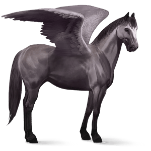ratsupegasos andalusianhevonen harmaa