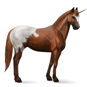 ratsuyksisarvinen appaloosa rautias, loimikuvio