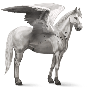ratsupegasos appaloosa harvapilkkuinen