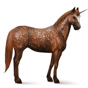 ratsuyksisarvinen appaloosa rautias, lumihiutalekuvio