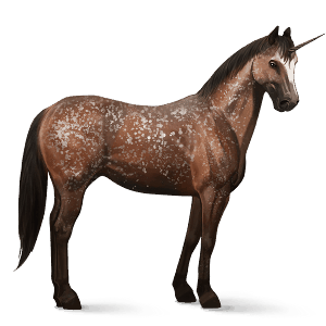 ratsuyksisarvinen appaloosa ruunikko, lumihiutalekuvio