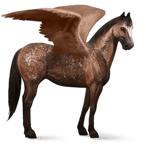 ratsupegasos lipizzanhevonen vaaleankimo