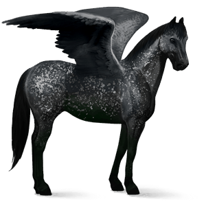 ratsupegasos lipizzanhevonen vaaleankimo