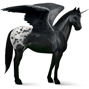 siivekäs ratsuyksisarvinen nokotanhevonen rautiaankirjava, overo