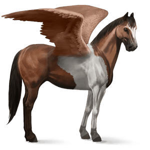 ratsupegasos nokotanhevonen ruunikko, overo