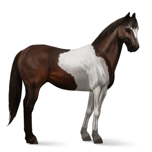 ratsuhevonen paint-hevonen tummanruunikko, tobiano