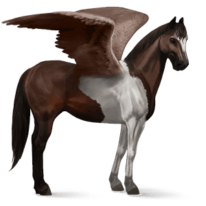 ratsupegasos tummanruunikko
