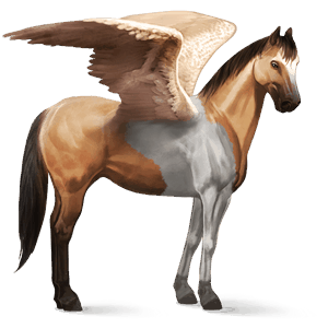 ratsupegasos ruunikko