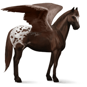 ratsupegasos tennesseenwalker sysirautias