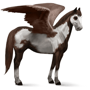 ratsupegasos paint-hevonen tummanruunikko, overo