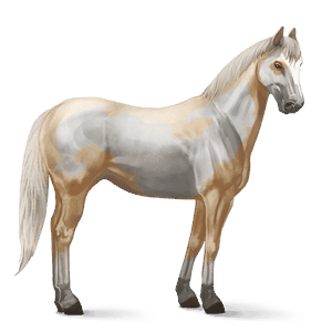 ratsuhevonen paint-hevonen tummanruunikko, tobiano