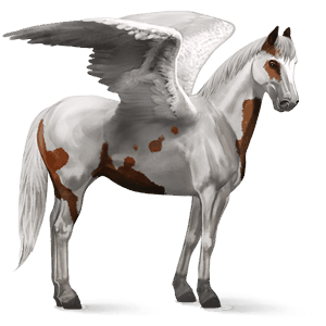 ratsupegasos lipizzanhevonen punaruunikko