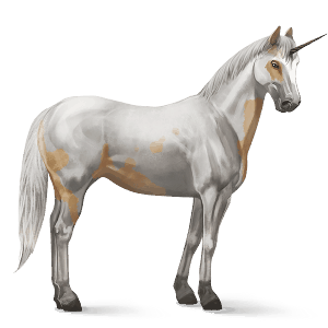 ratsuyksisarvinen american bashkir curly palomino