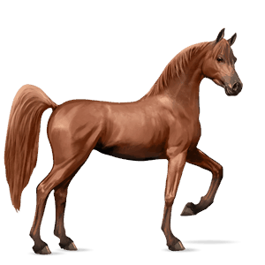 ratsuhevonen tennesseenwalker palomino