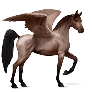 ratsupegasos arabianhevonen päistärikkö