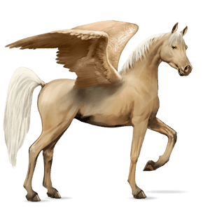ratsupegasos arabianhevonen kärpäskimo