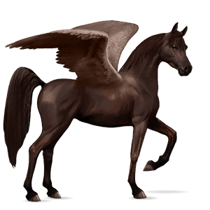 ratsupegasos arabianhevonen tummanruunikko