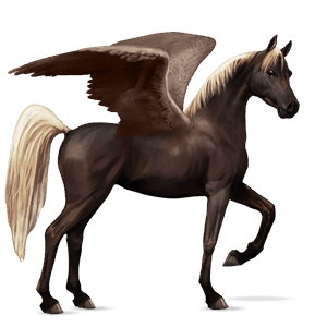 ratsupegasos arabianhevonen sysirautias, liinaharja