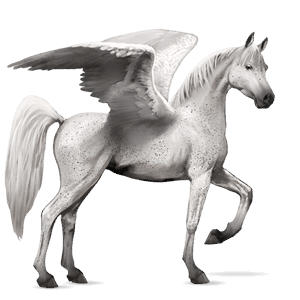 ratsupegasos shagya-arabi kärpäskimo