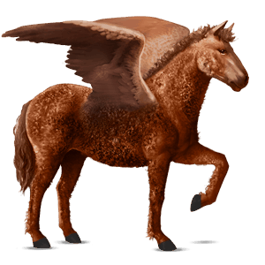 ratsupegasos american bashkir curly rautias