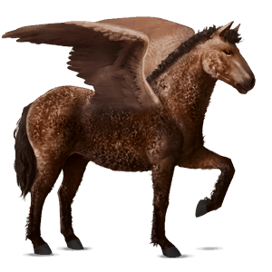ratsupegasos american bashkir curly ruunikko