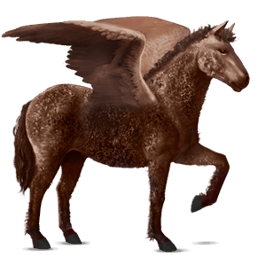 ratsupegasos american bashkir curly sysirautias