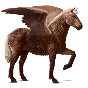 ratsupegasos american bashkir curly rautias