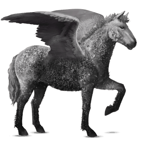 ratsupegasos american bashkir curly papurikkotäpläinen kimo