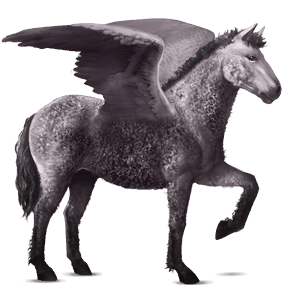 ratsupegasos lipizzanhevonen papurikkotäpläinen kimo