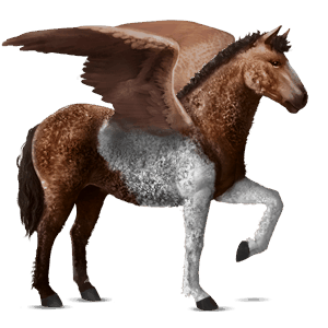 ratsupegasos ruunikko, tobiano