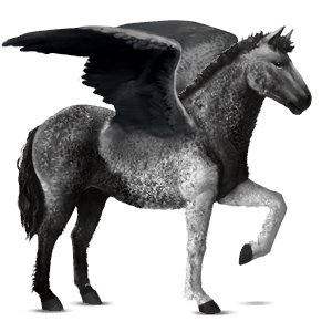 ratsupegasos american bashkir curly ruunikko