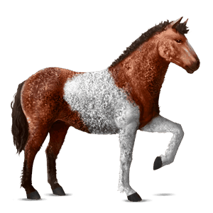 ratsuhevonen paint-hevonen rautias, tobiano
