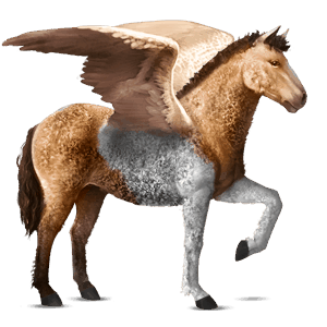 ratsupegasos puolalainen konik harmaa