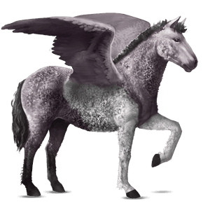 ratsupegasos nokotanhevonen rautias