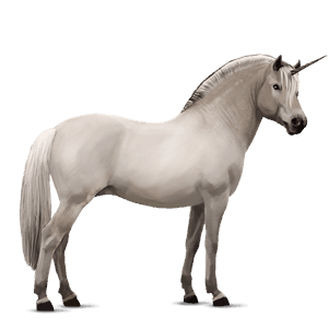 yksisarvisponi welshponi rautias