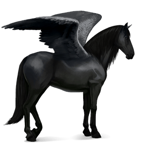 ratsupegasos andalusianhevonen musta