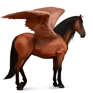 ratsupegasos lipizzanhevonen punaruunikko