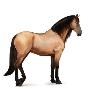 ratsuhevonen lipizzanhevonen vaaleankimo