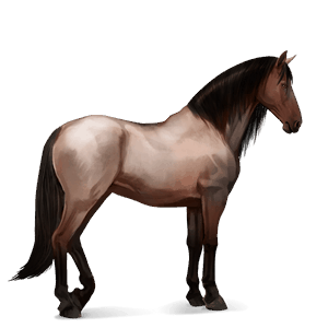 ratsuhevonen lipizzanhevonen ruunikko