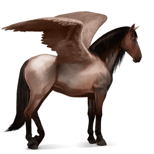 ratsupegasos quarterhevonen liinakko