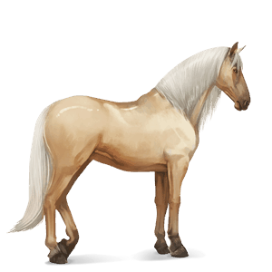 ratsuhevonen akhaltekinhevonen palomino