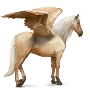 ratsupegasos palomino